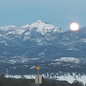 Meet your Posher, Ted